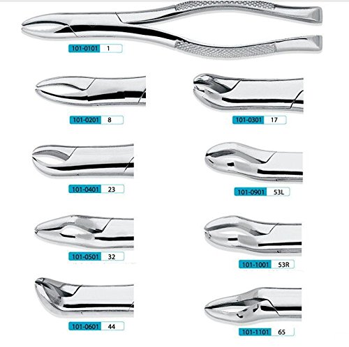 Amazon.co.jp: APHRODITE 抜歯鉗子 ステンレス 成人の抜歯鉗子 (18R